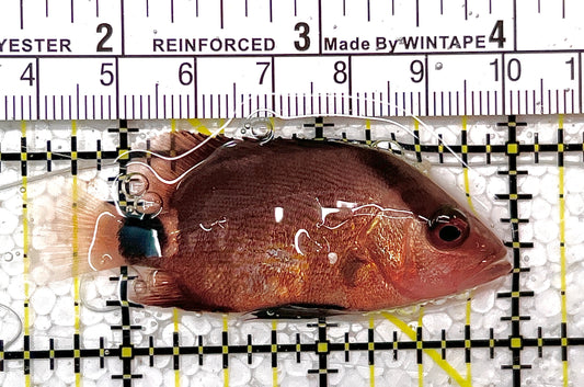 Malabar Red Snapper MRS111401 WYSIWYG Size: S 2.5" approx