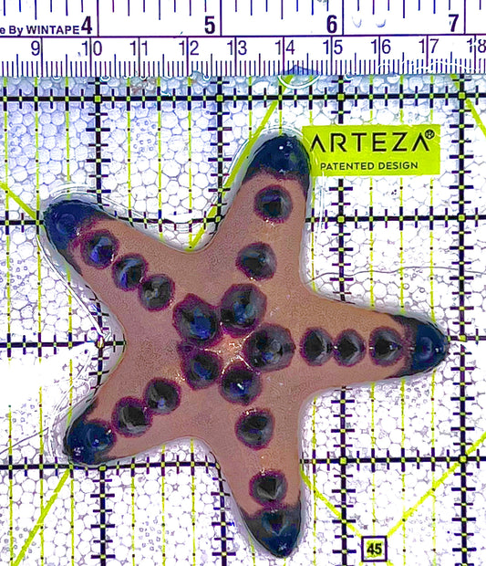 Chocolate Chip Starfish CCS122505 WYSIWYG Size: M 3.5" approx