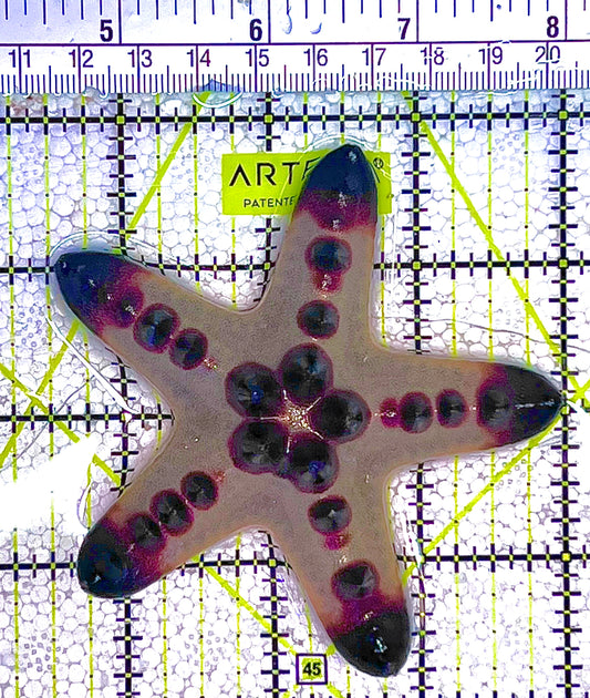 Chocolate Chip Starfish CCS122504 WYSIWYG Size: M 3.5" approx