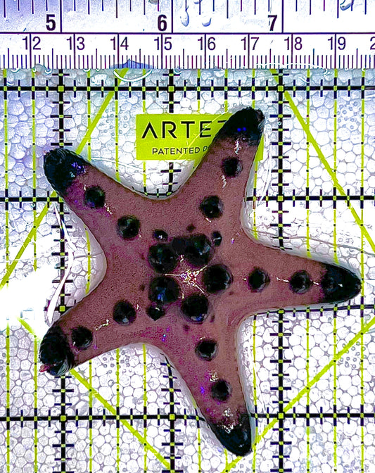 Chocolate Chip Starfish CCS122503 WYSIWYG Size: M 2.75" approx